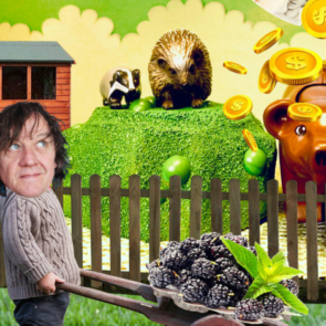 Kid Carpet & The Noisy Garden Centre 1