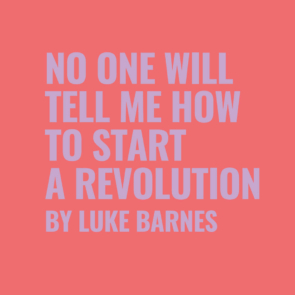 No One Will Tell Me How To Start A Revolution by Luke Barnes