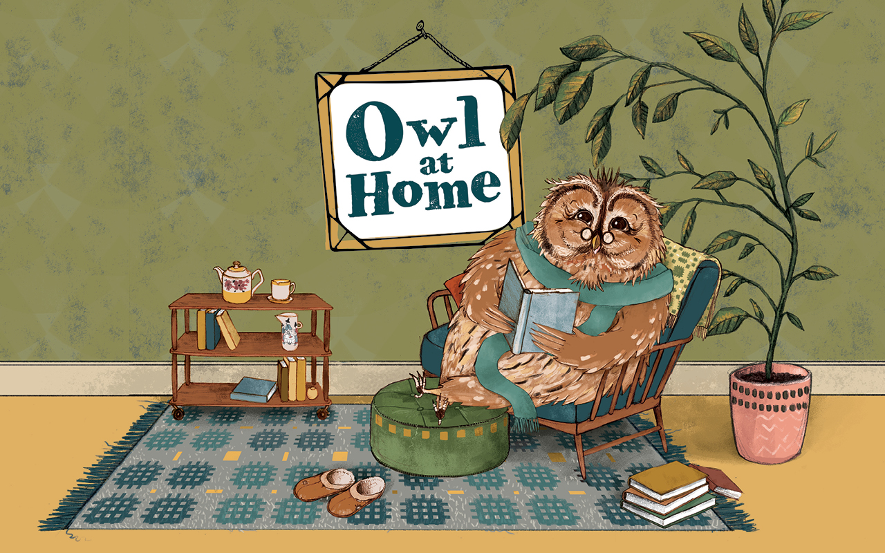 Owl at Home Tobacco Factory Theatres