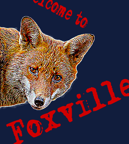 Welcome to Foxville (Work in progress)