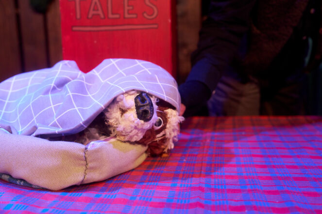 Scruff's Christmas Adventure 4